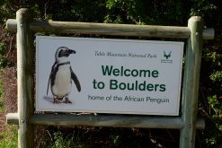 boulders beach south africa