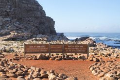 cape of good hope