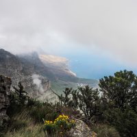 india venster trail south africa