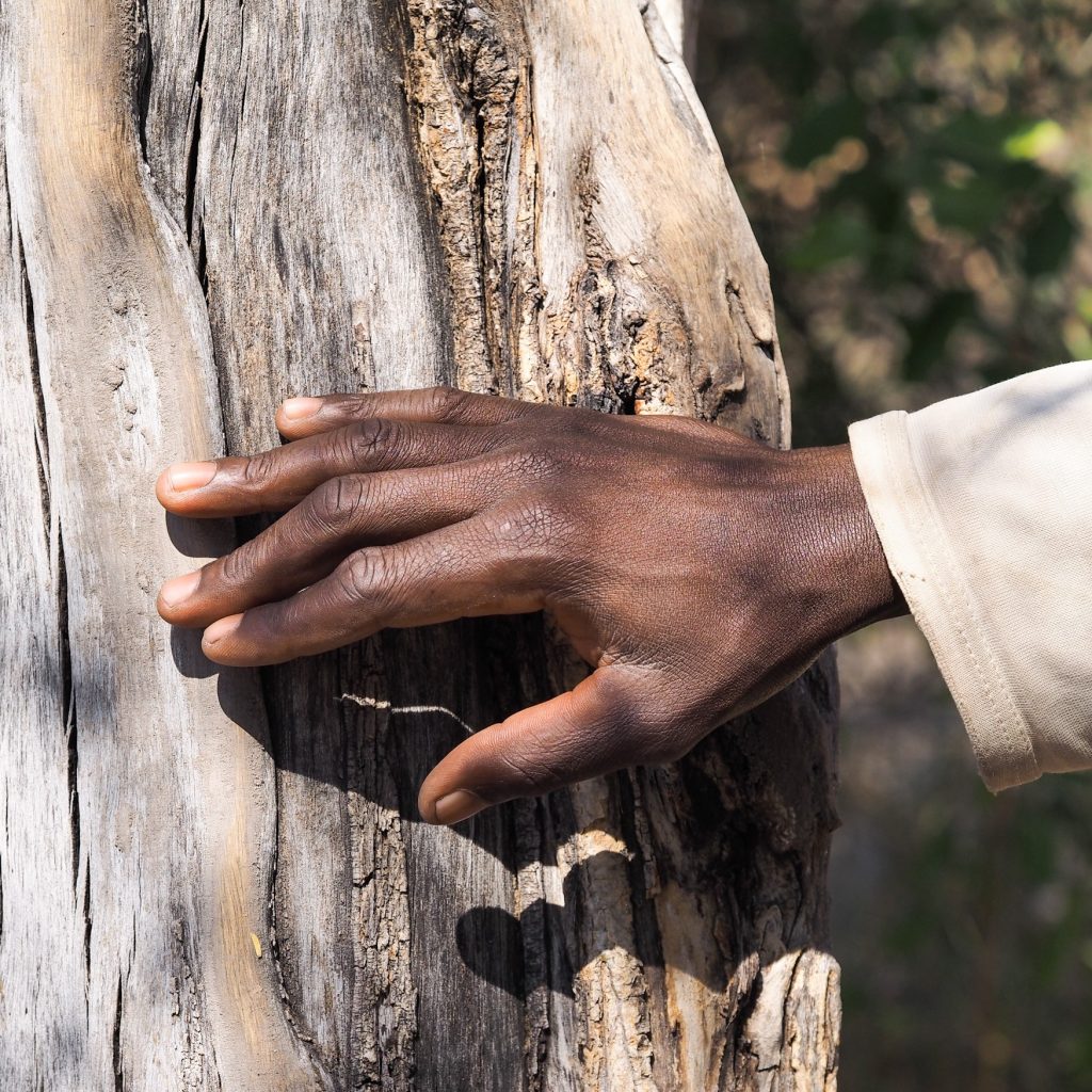 man and nature