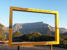 view to table mountain signal hill sunset sundowner